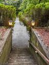 Stairs to Backyard