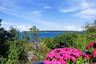 Expansive water views