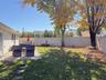 Backyard 4