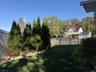Backyard 3
