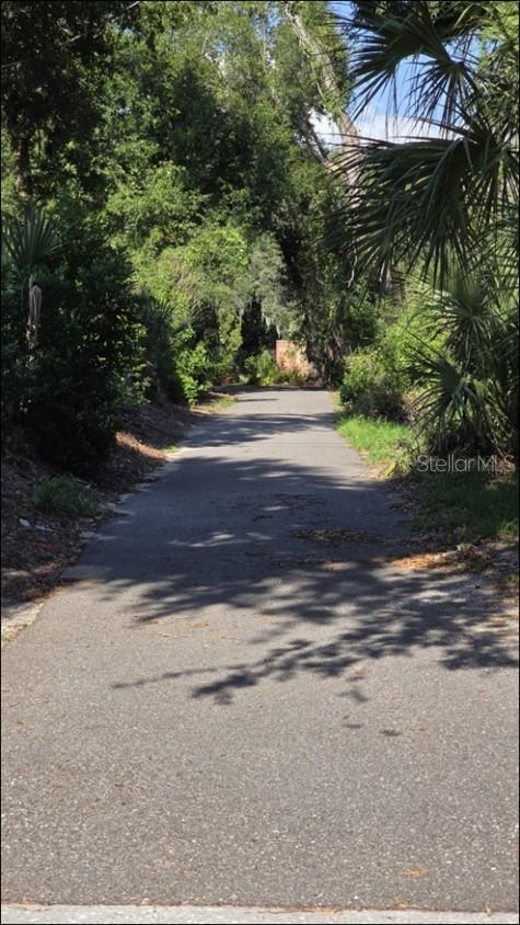 Driveway to back 2 lots