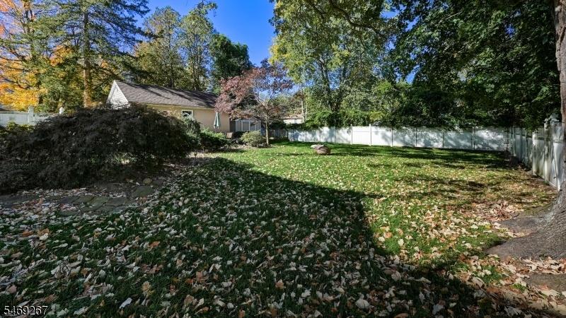 yard
