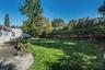 Rear Yard