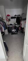 Walk-in closet featuring tiered wire shelving and wall-to-wall carpeting