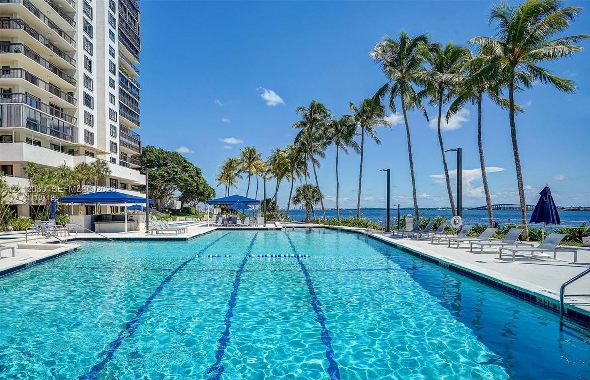Resort-style swimming pool featuring lane markings, concrete decking, integrated lighting, and palm tree landscaping