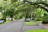 Asphalt street lined with mature canopy trees and manicured grass borders