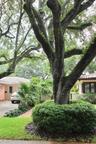 Mature canopy trees, manicured shrubbery, landscaped garden beds, and gravel driveway