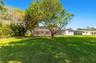 Expansive backyard featuring a manicured lawn, mature trees, and a screened-in rear enclosure