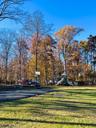 Wooded Area