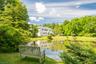 Pond