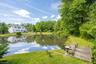 Pond