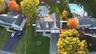 Aerial Overhead