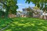 Backyard -