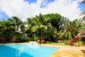 Swimming pool with a stone tile deck, a raised water feature, mature palm trees, and lush tropical landscaping