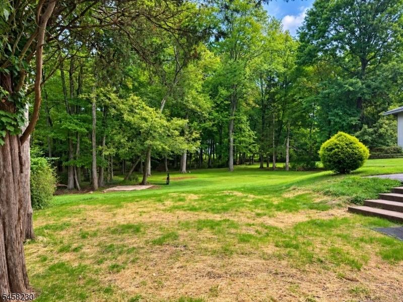 Rear Yard