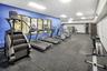 Amenity vCommon Fitness