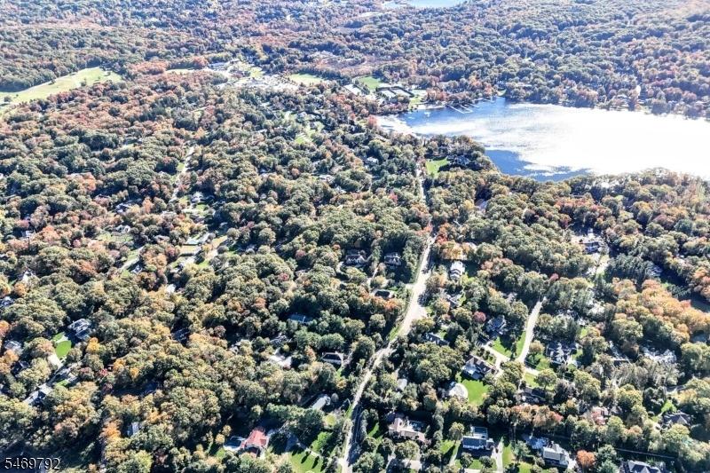 Wonderful Neighborhood
