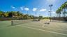 Tennis courts