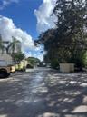 Asphalt paved surface with designated parking area, concrete perimeter wall, and mature tree canopy