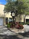 Exterior façade featuring smooth stucco finish, metal-framed windows, and a dedicated landscaped island with mature trees, shrubbery, and stone ground