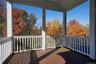 Wooded area out back
