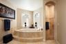 Master Tub/Shower Entrance
