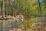 View of the babbling brook
