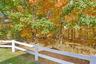 Wooded area