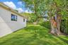 Private backyard featuring a manicured lawn, perimeter hedge landscaping, mature trees, and a chain-link fence