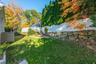 Backyard View