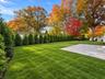Rear yard/patio