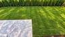 Rear yard/patio