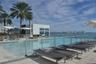 Outdoor swimming pool with tile surround, adjacent building with large windows, and palm trees