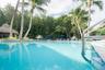 In-ground swimming pool featuring a tiled waterline, metal handrails, a thatched-roof cabana, and mature palm trees