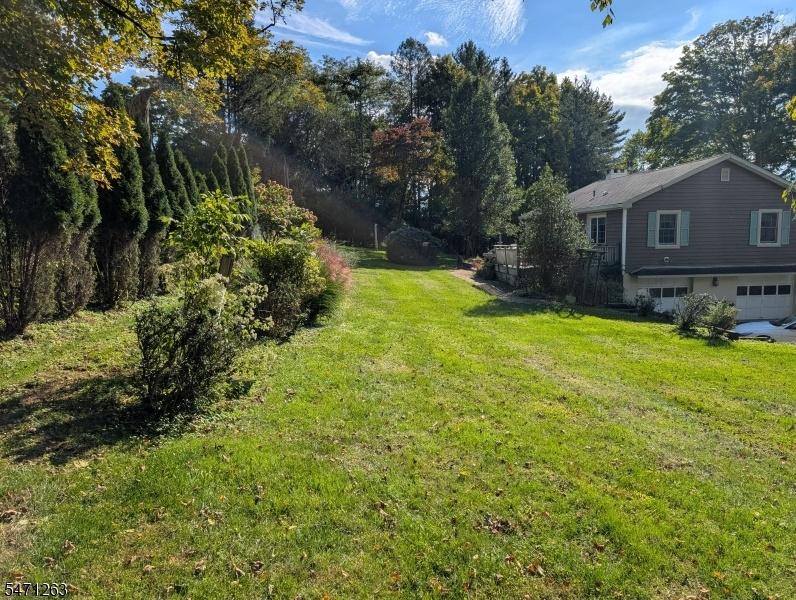 Side Yard