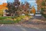 Wooded Lot