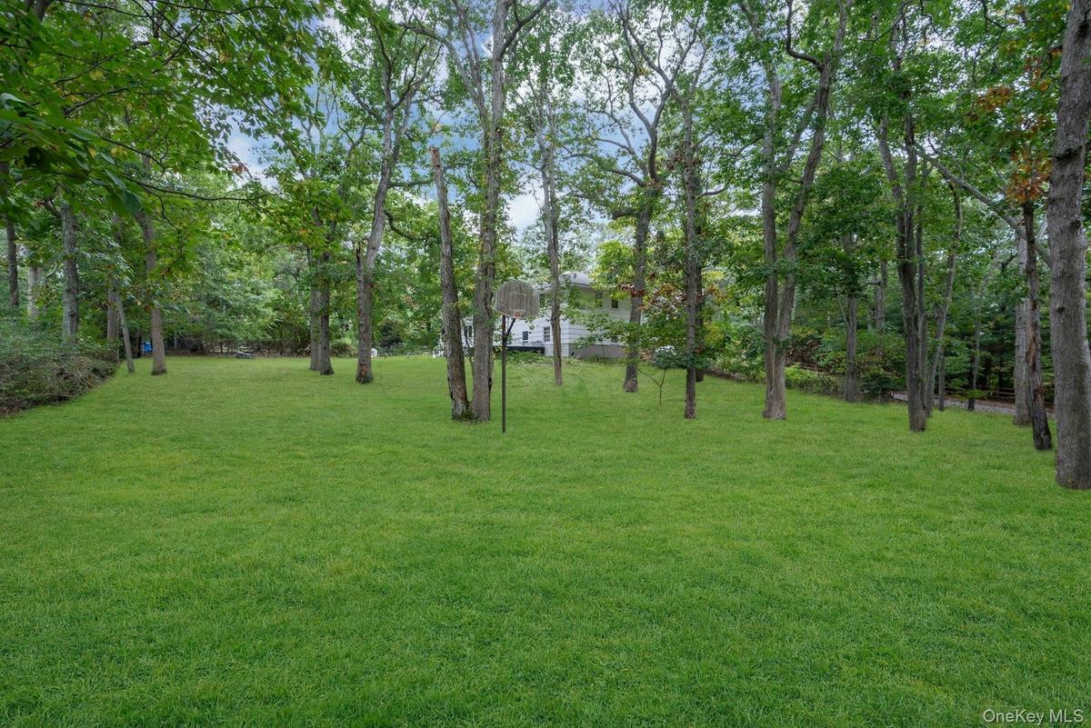 Expansive backyard featuring a sprawling lawn, mature trees