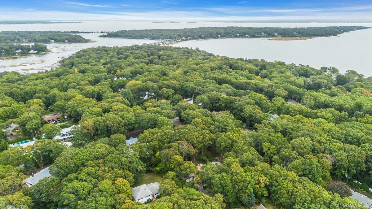 Aerial perspective featuring dense canopy coverage, established woodland surroundings, and proximity to the coastline. Close walk to the Marina and be