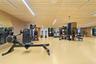Fitness space featuring wood-panel wall cladding, textured acoustic ceiling panels, wall-to-wall integrated mirrors, and recessed linear lighting