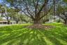 Expansive grounds featuring mature shade trees, established landscaping, and an open grass lawn