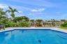 In-ground swimming pool with a concrete surround, dock, and bulkhead, bordered by mature palm trees and water frontage