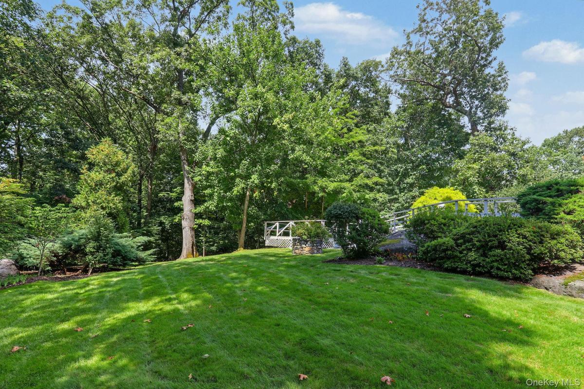 Large backyard
