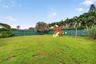 Spacious backyard featuring a manicured lawn, perimeter wood fencing, and mature palms