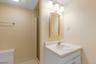 Lower Level Bathroom