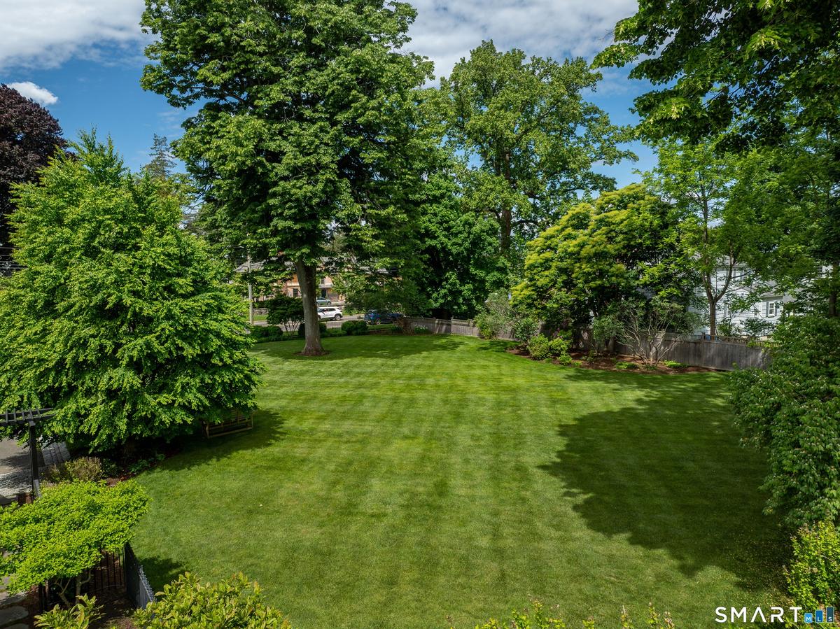 Side Yard