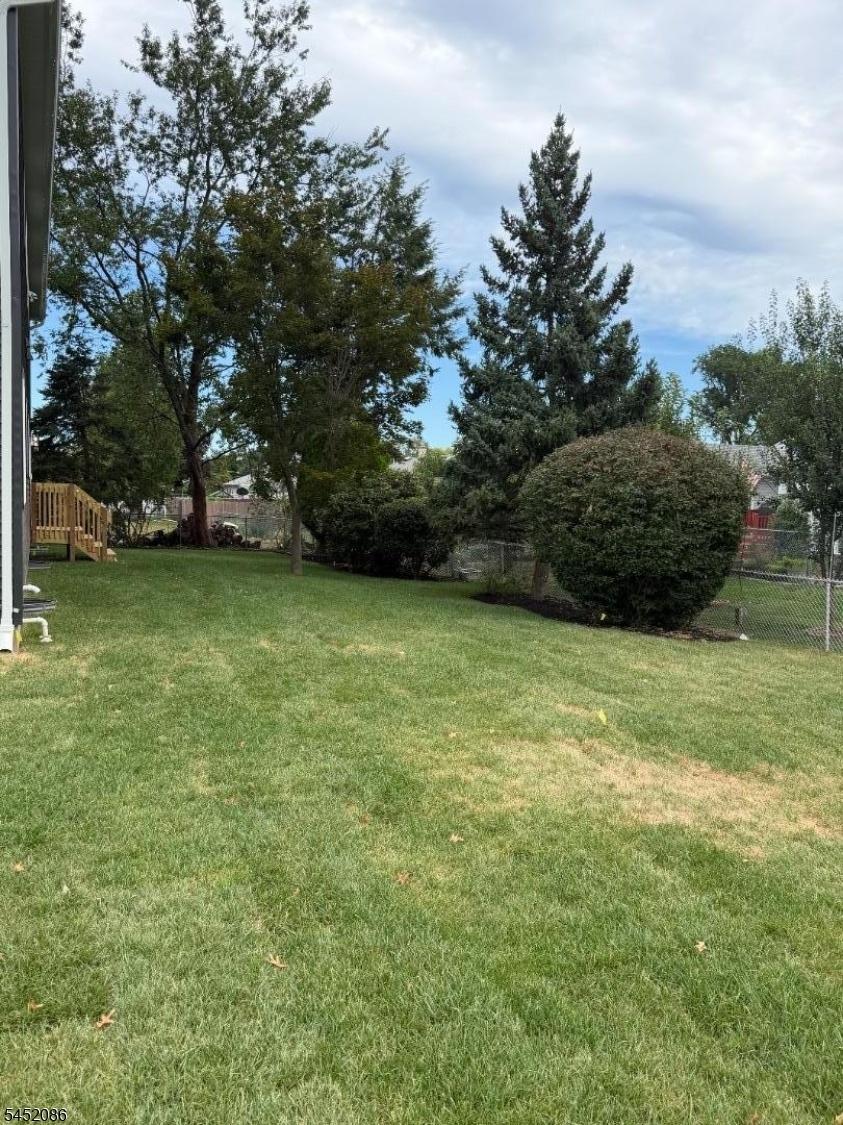Rear Yard