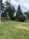Rear Yard