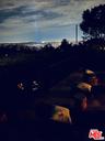 NIghtime views