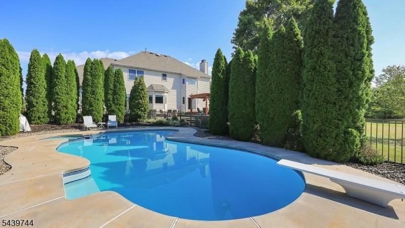 Backyard Oasis