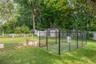 dog run